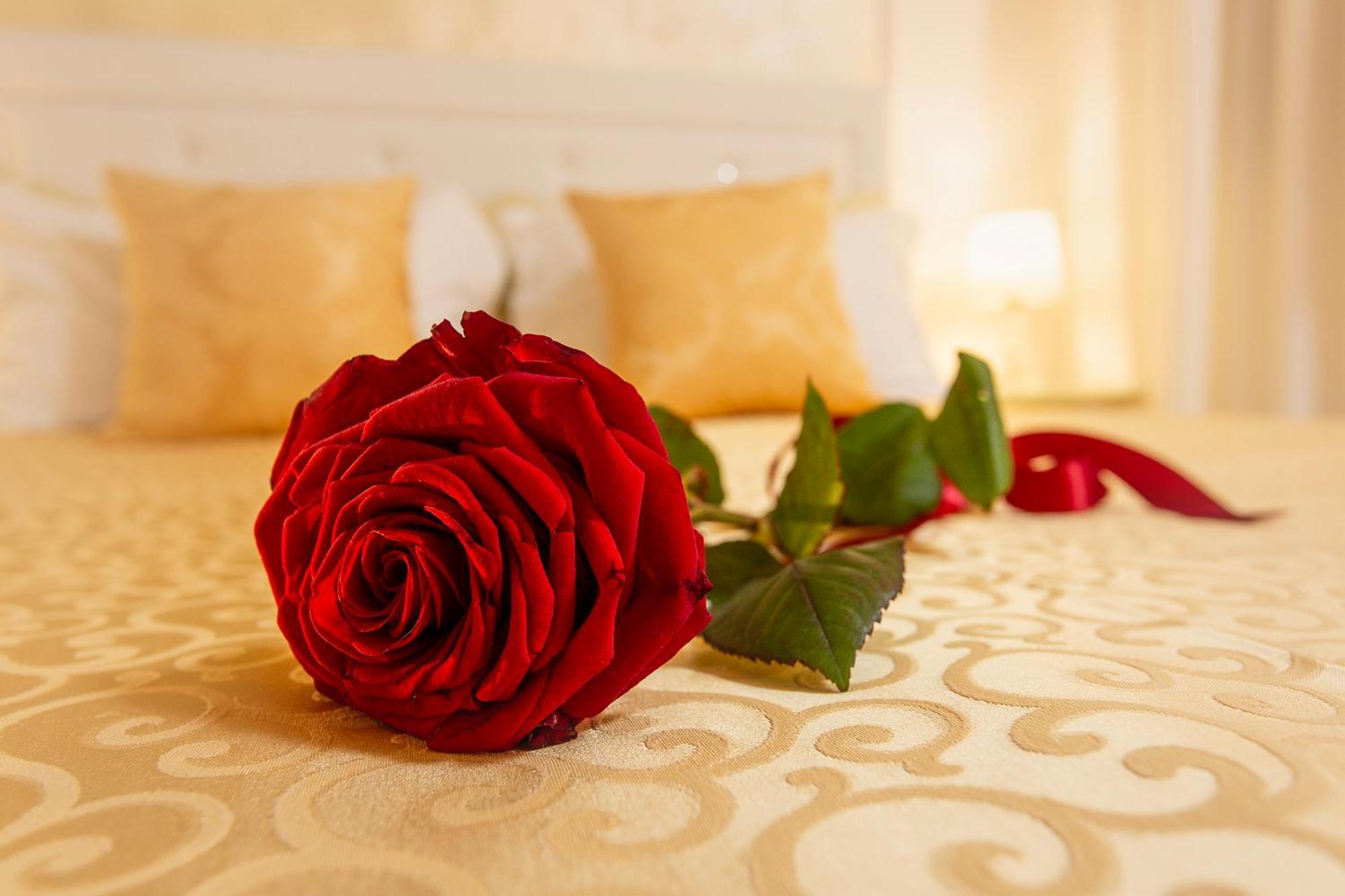 Capatron Otel Venedik Dış mekan fotoğraf